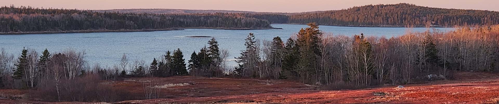 Blueberry Barrens Mason's Bay