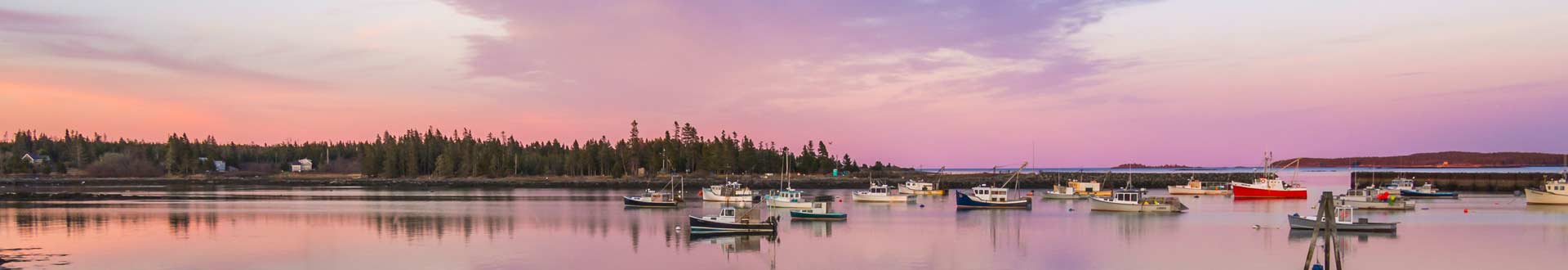 Boats in harbor with pink sunset