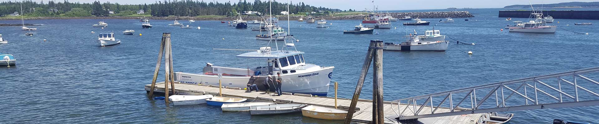 Lobster Boats in Marina
